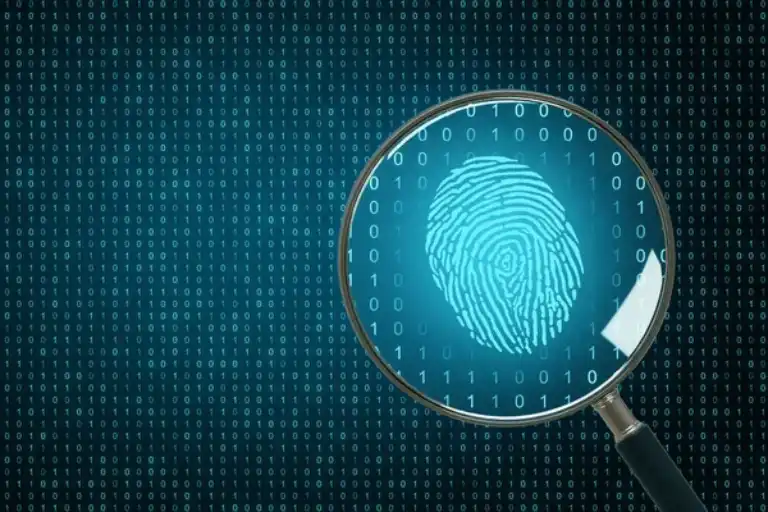 What is Digital Forensics in Cyber Security? Redpoint Cybersecurity